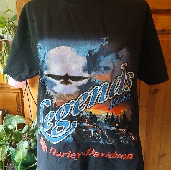 Harley-Davidson Other - Vintage Harley-Davidson Black Biker Graphic Tee West LA , CA Size Medium